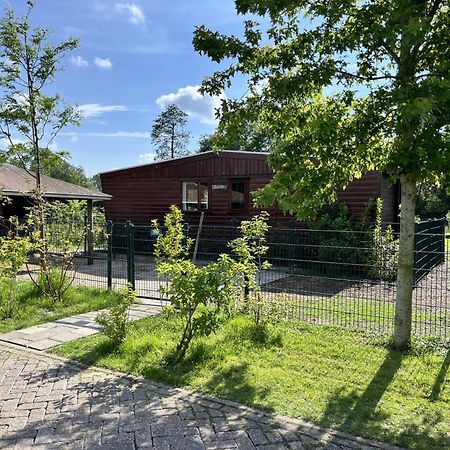 Vrijstaand Chalet Met Veel Buitenruimte En Veranda Zuid-Scharwoude Exteriör bild