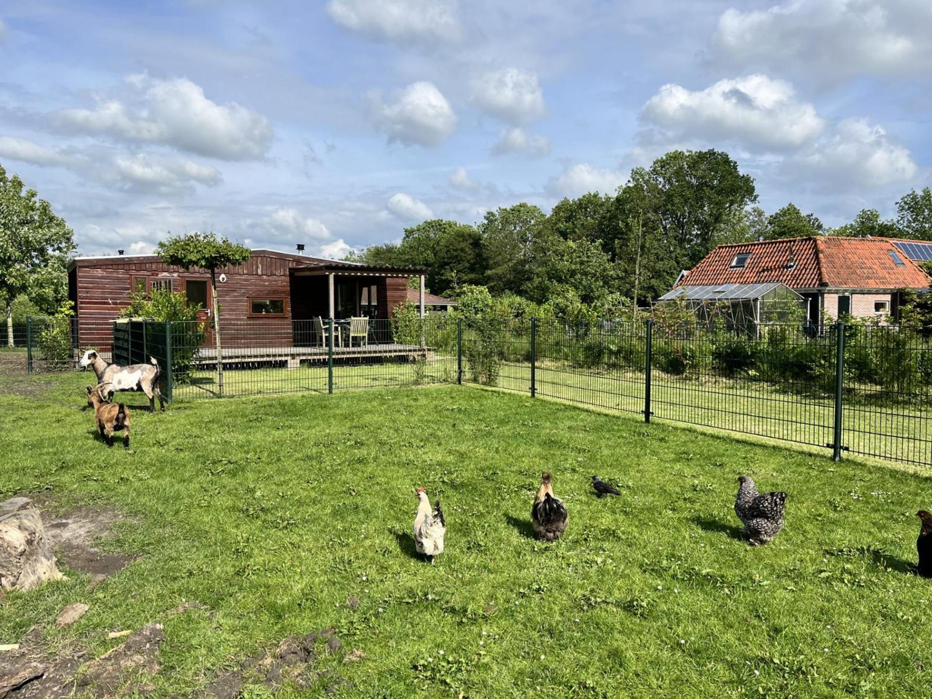 Vrijstaand Chalet Met Veel Buitenruimte En Veranda Zuid-Scharwoude Exteriör bild
